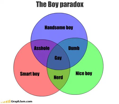 A three-circle Venn diagram in blue, red and green. The circles are labelled handsome boy, smart boy and nice boy. Each pairwise overlap carries a label: two of them are dismissive one-word verdicts, one of them an insult. The central region where all three overlap is labelled with a sexual orientation.